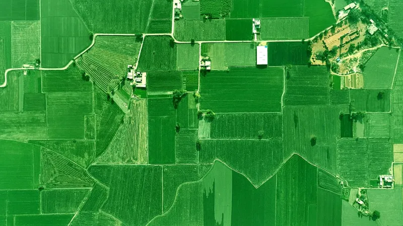 Below the National Headline: How County-Level Yield Intelligence Is Generating Real Competitive Advantage