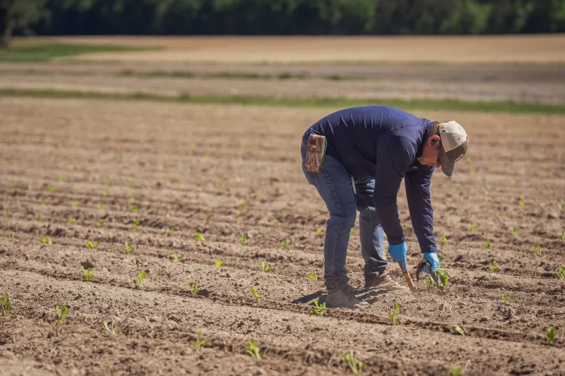Patience Pays: Why Data-Driven Growers Are Outperforming the Calendar on Planting Decisions