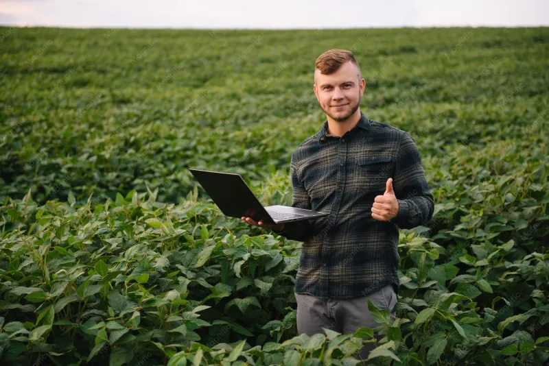 What Corn Leaves Are Telling You Right Now: The Mid-Season Tissue Testing Window That Changes Yield Outcomes