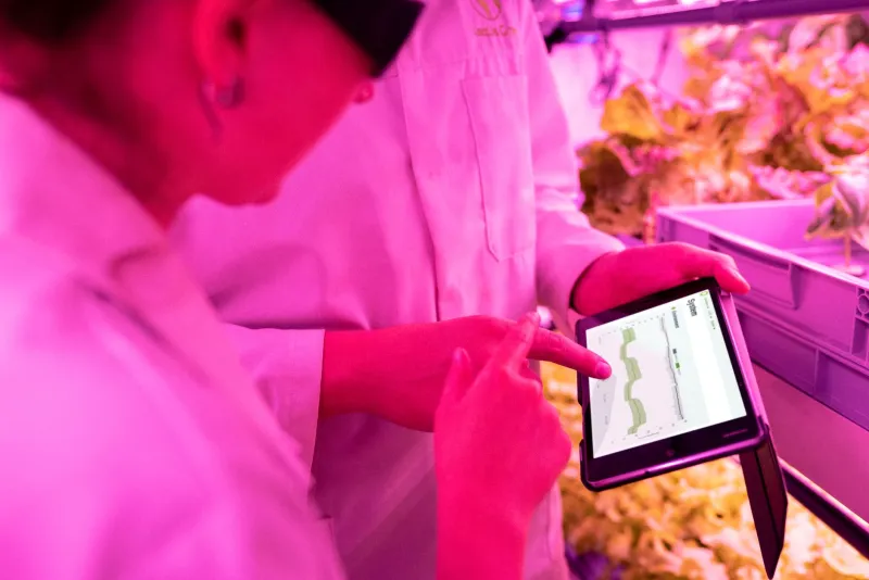 Signal vs. Noise: When Agricultural Data Becomes the Enemy of Good Decisions