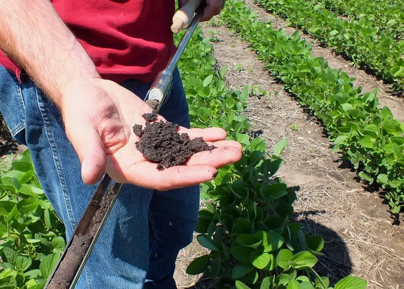 The True Cost of Walking Away from Corn: What Multi-Year Rotation Math Reveals in 2025