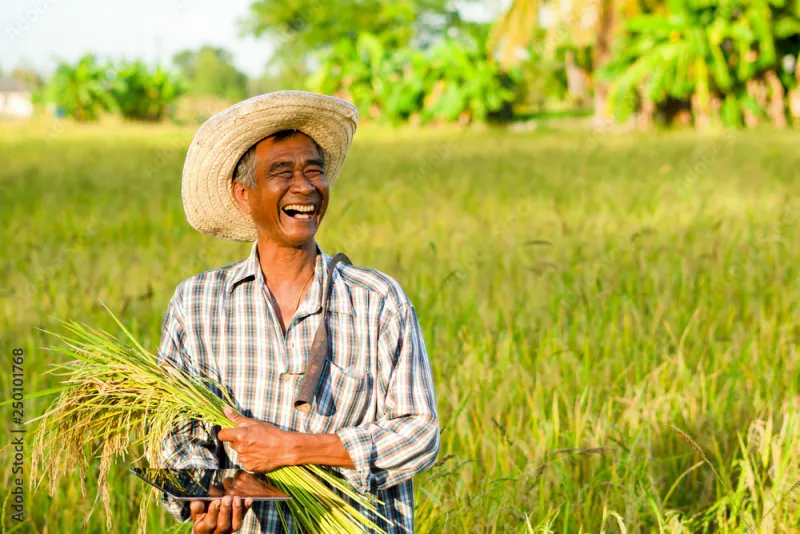 When Last Year Becomes a Liability: Breaking the Single-Season Data Trap in Crop Forecasting